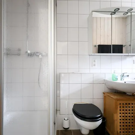 Mit Garage Und Balkon Naehe Europapark